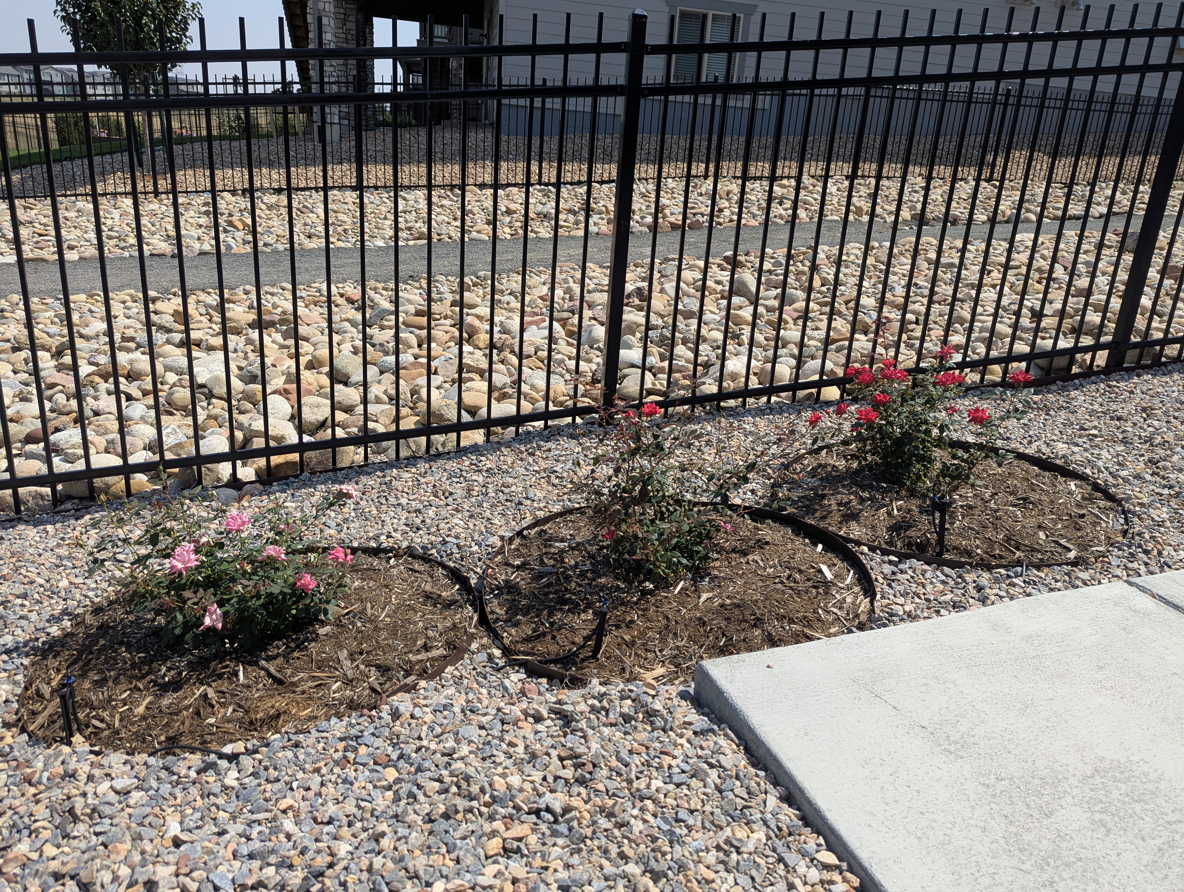 Garden, Morrison, Colorado